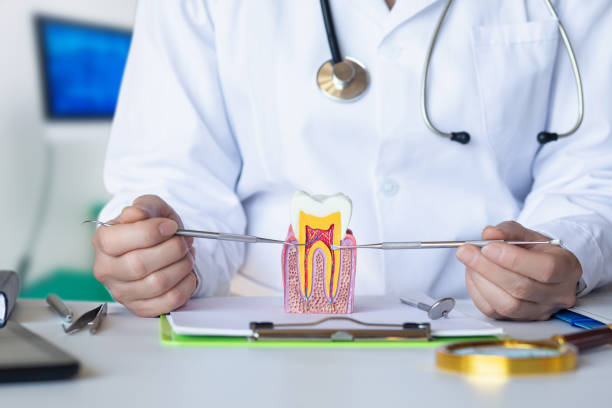 Best Broken or Cracked Tooth Emergency Dentist in Clisle, AR